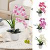 Maceta Blanca Orquídea Mariposa Simulada Multiflora Plástico Flor Artificial Decoración del Hogar