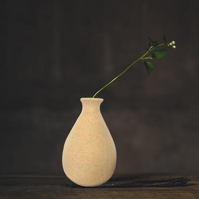 Woondecoratie – Vazen