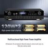 SAST Conference & Home KTV Wall-Mounted Speaker System with Dual Microphones (CN version)