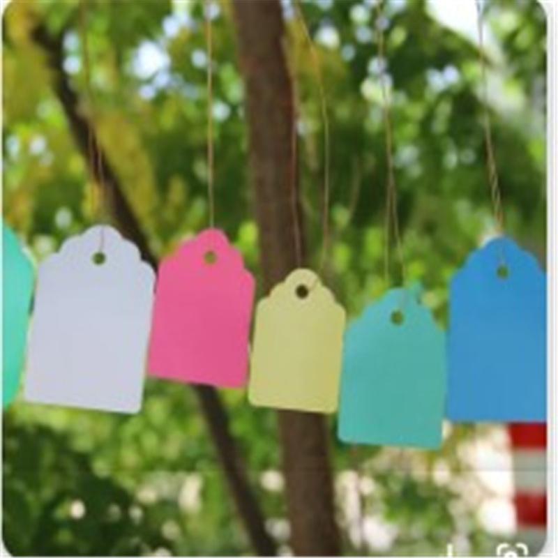 100pcs Plant  Label Plastic Pvc Hanging Tag Marker Waterproof Garden Flower Gift