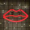 Lippen Neonlicht LED Schilder Wanddeko Batterie- oder USB-betrieben Lippenlampe für Zuhause Bar Festliche Party
