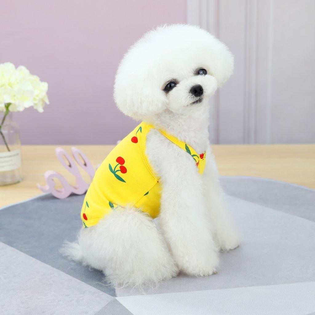 Pet Dog Clothes Spring and Summer Thin Teddy Bichon Pomeranian Yorkshire Terrier Small Dog Cat Vest Cherry Suspender