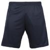 Li Shen Yan Lang Men's Quick-Dry Training Shorts