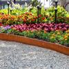 Steel Garden Edging, 16cm Wide, 5m or 10m Long, Pre-Rusted Steel Border Strip for Flower Beds, Tree Rings and Pathways