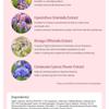 esfolio - Rose Essence Mask Sheet Set