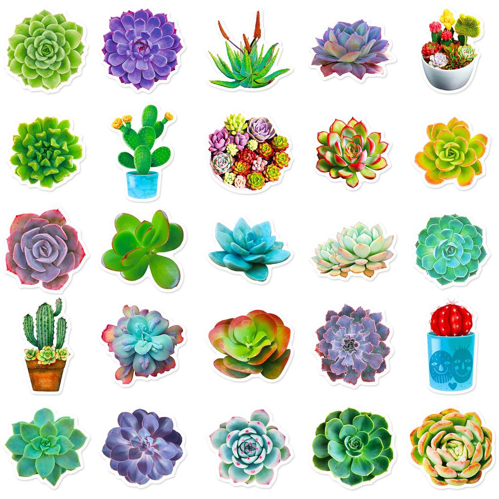 50 Pieces of Succulent Cactus Potted Fresh Stickers DIY Suitcase Notebook Water Cup Stickers
