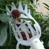 Strumento per la raccolta della frutta Raccoglitore per la raccolta della frutta in plastica per serra Dispositivo per la raccolta del giardino della fattoria Strumento per serre da giardino senza manico