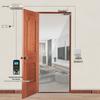 Realand S02TC Single Door Magnetic Lock Kit CN Plug (adapter Included)