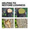Pruning Wound Sealer Tree Wound Sealant Pruning Sealant for Trees with Brush Garden Tree Wound Sealer Grafting Compound