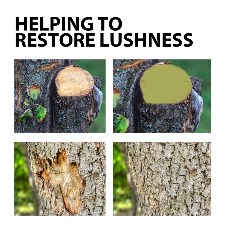 Pruning Wound Sealer Tree Wound Sealant Pruning Sealant for Trees with Brush Garden Tree Wound Sealer Grafting Compound