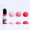 12 Farben Zement Wasserlösliche Farbessenz Gips Pigment für Kreative für Weg Bodenfliese Pflaster Zement Zusatzstoff
