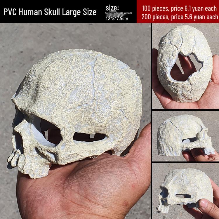 

Акриловый ящик для разведения рептилий с декоративным черепом