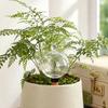 Self Watering Bulb, 500ml Transparent Automatic Plant Irrigation Ball, Holiday Plant Watering Bulb with Lid for Indoor Houseplants