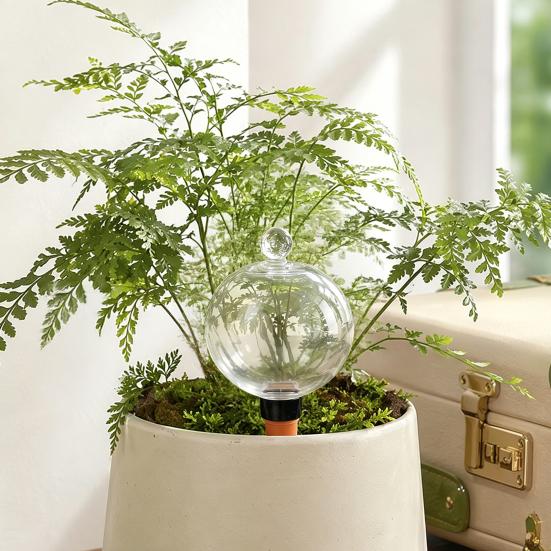 Self Watering Bulb, 500ml Transparent Automatic Plant Irrigation Ball, Holiday Plant Watering Bulb with Lid for Indoor Houseplants
