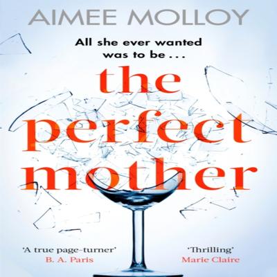The Perfect Mother by Aimee Molloy Paperback Book 9780751570342