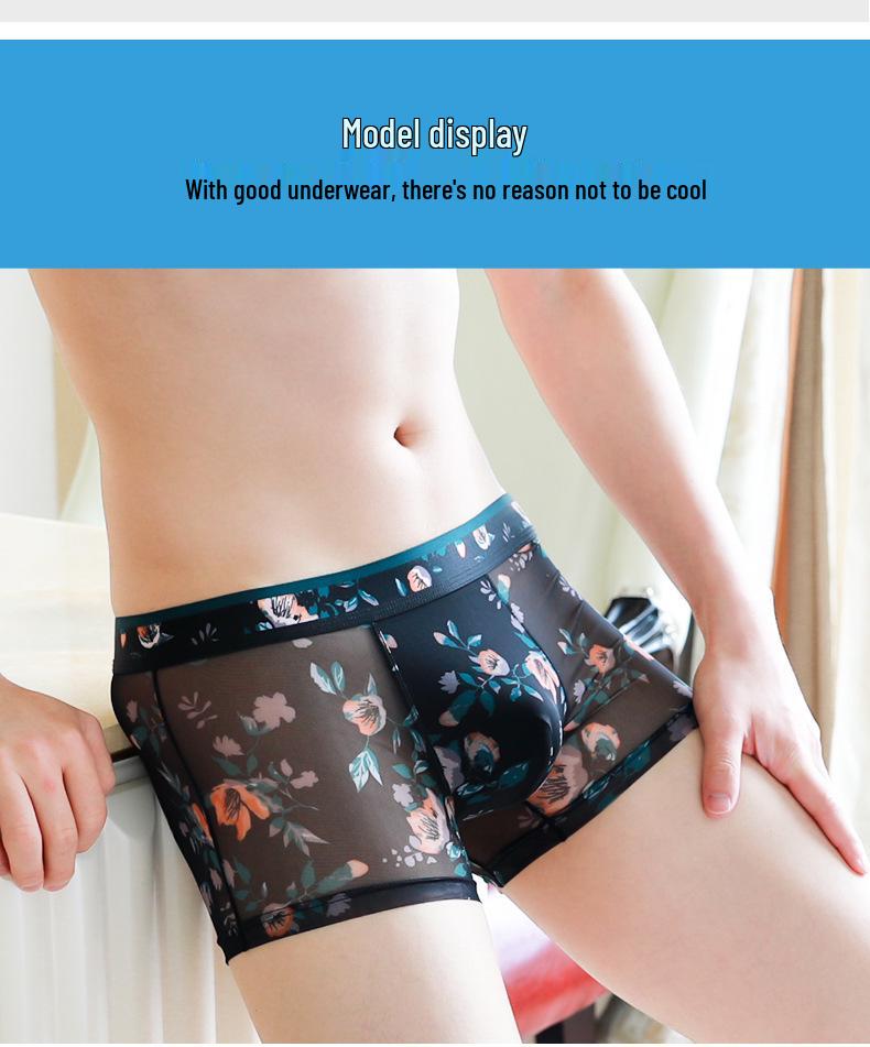 Summer Mesh Men's Boxer Briefs - Breathable, Transparent Mid-Rise Shorts