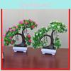 Camellia Japonica Fictional Blossom Simulation With Plastic Craft For Indoor Living Room Ornament