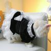 Dog Costume Dress Cat Clothes Cute Clothing Outfits Small Animal Lace Decors Apparel for Girl Cat Puppies Small Dogs