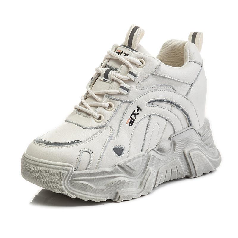 Inner Height Increase Autumn and Winter 1 New Dad Shoes Platform Mesh Small Dirty Shoes Sports and Leisure Shoes