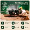 Linsoul Kiwi Ears Astral Hybrid (1DD+6BA) Professional Audiophile In-Ear Monitors with 10mm Dynamic Driver and Subwoofer, Six Balanced Armature