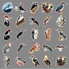 50 Pcs Woodpecker Stickers - Cartoon Forest Animals, Waterproof DIY Decoration for Phone, Laptop, and Journal