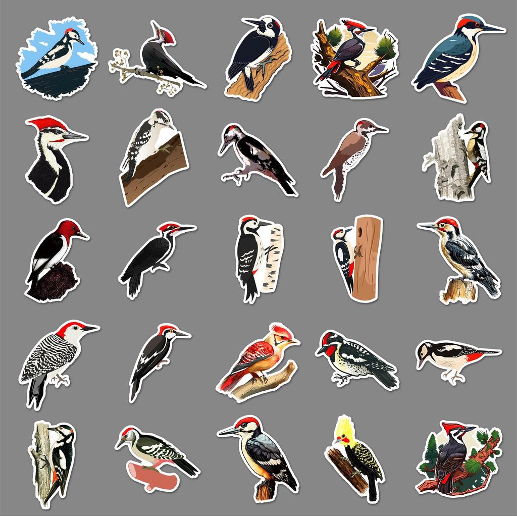 50 Pcs Woodpecker Stickers - Cartoon Forest Animals, Waterproof DIY Decoration for Phone, Laptop, and Journal