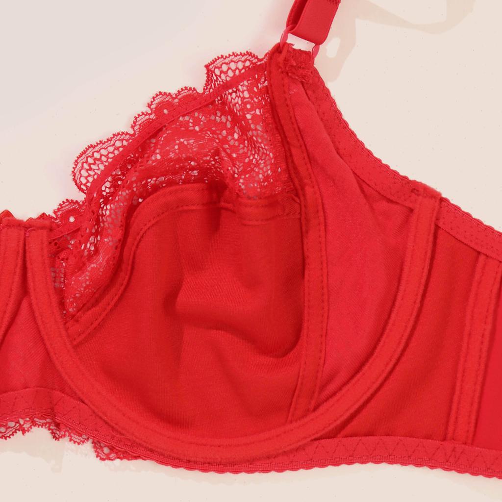 Plus Size Red Lace Bra and Panty Set, Adjustable Hook Closure Sexy Lingerie for Women