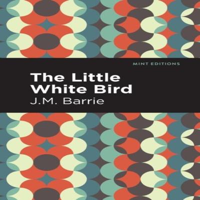 The Little White Bird by J. M. Barrie Paperback Book 9781513291260