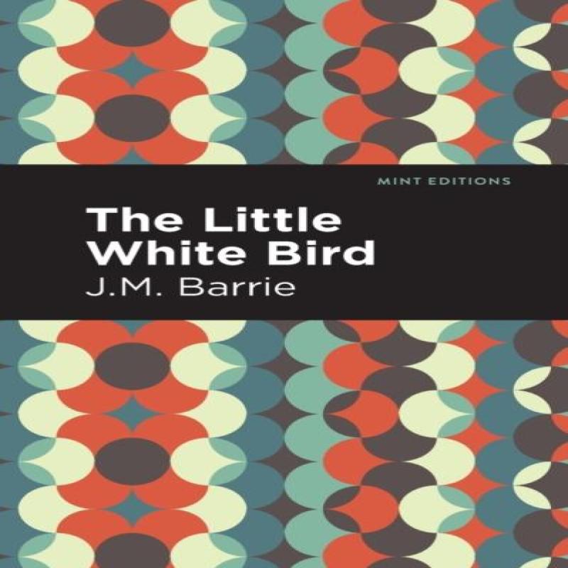 The Little White Bird by J. M. Barrie Paperback Book 9781513291260