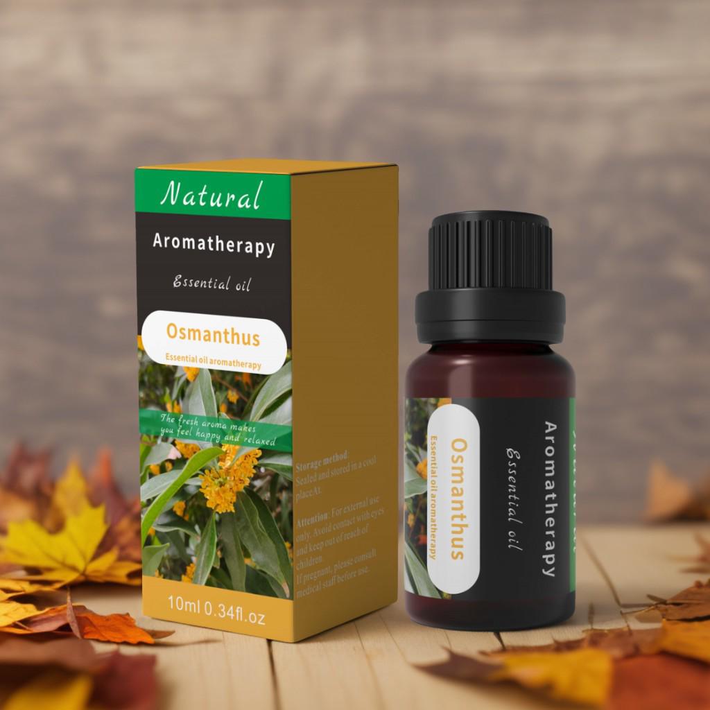 Grenzüberschreitender Aroma-Diffusor für ätherische Öle für Massage & Aromatherapie