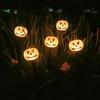 Solar LED Halloween Pumpkin & Skull Lawn Light