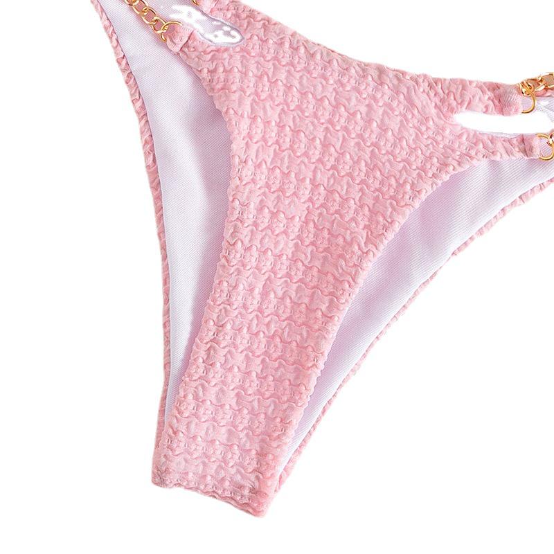 2025 European & American Sexy Split Bikini Swimwear for Women