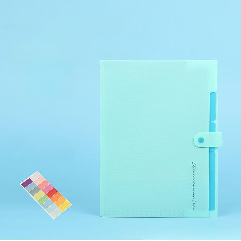 

Папка-аккордеон формата А4 с 5 карманами, расширяющаяся папка-регистратор с этикетками для документов, органайзер для бумаги для школьного офиса