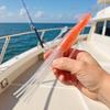 Instrumente pentru prepararea fructelor de mare – Furculițe pentru homari și crabi