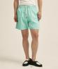 Billalei Aqua Stripe Men'S Swim Shorts - Aqua Mint