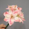 2pcs Artificial Kaffir Lily Flower Branch Real Touch Clivia Stem for Wedding Home Decoration