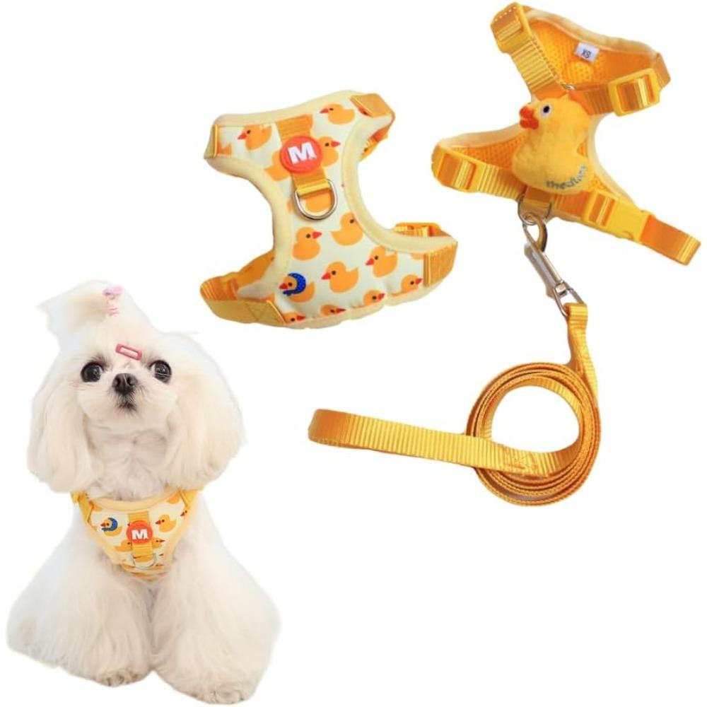 Kleines Hunde-Geschirr und Leinen-Set, Vierpunkt-Verstellbares Weiches Netz-Hunde-Westen-Geschirr und Schnellverschluss-Schnalle 5ft Nylon-Hundeleine