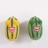 Creative Squinting Watermelon Stress Relief Toys - Squeeze & Blink for Fun and Relaxation