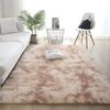 Nordic Style Living Room Carpet Sofa Coffee Table Blanket Fully Covered Non-slip Floor Mat Plush Floor Mat Household Bedroom Bedside Blanket