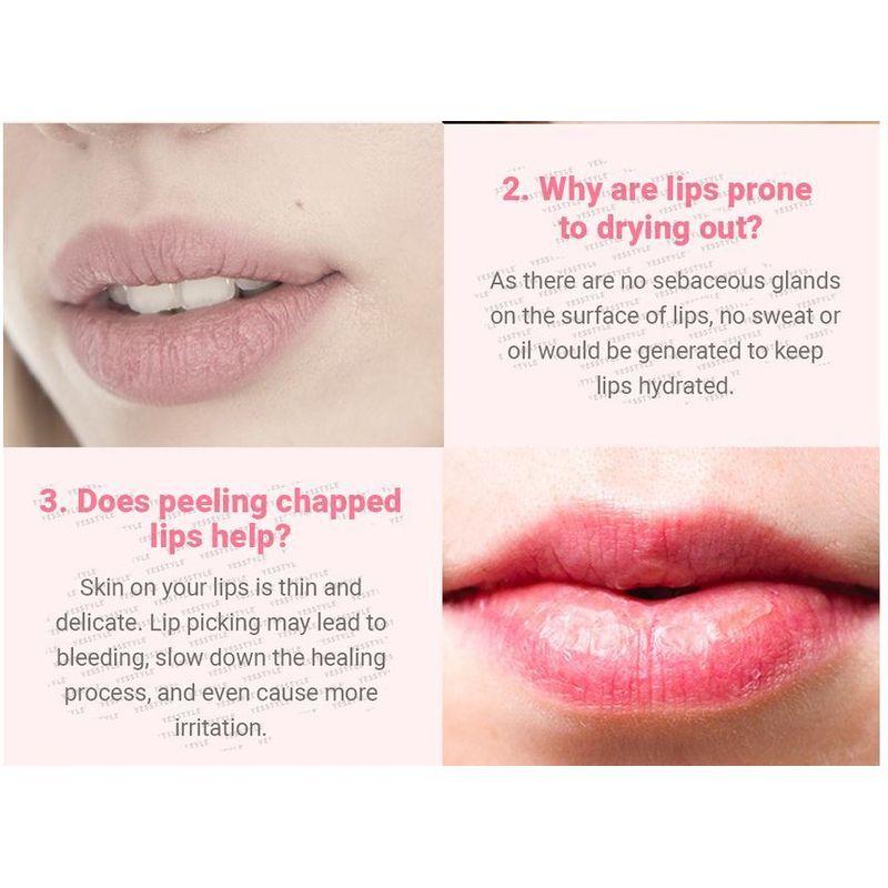 CARE:NEL - Berry Lip Night Mask Jumbo