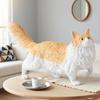 Cross-Border Cat Simulation Models: Persian, Hairless, Ragdoll, Orange, Leopard, Maine Coon, Siamese