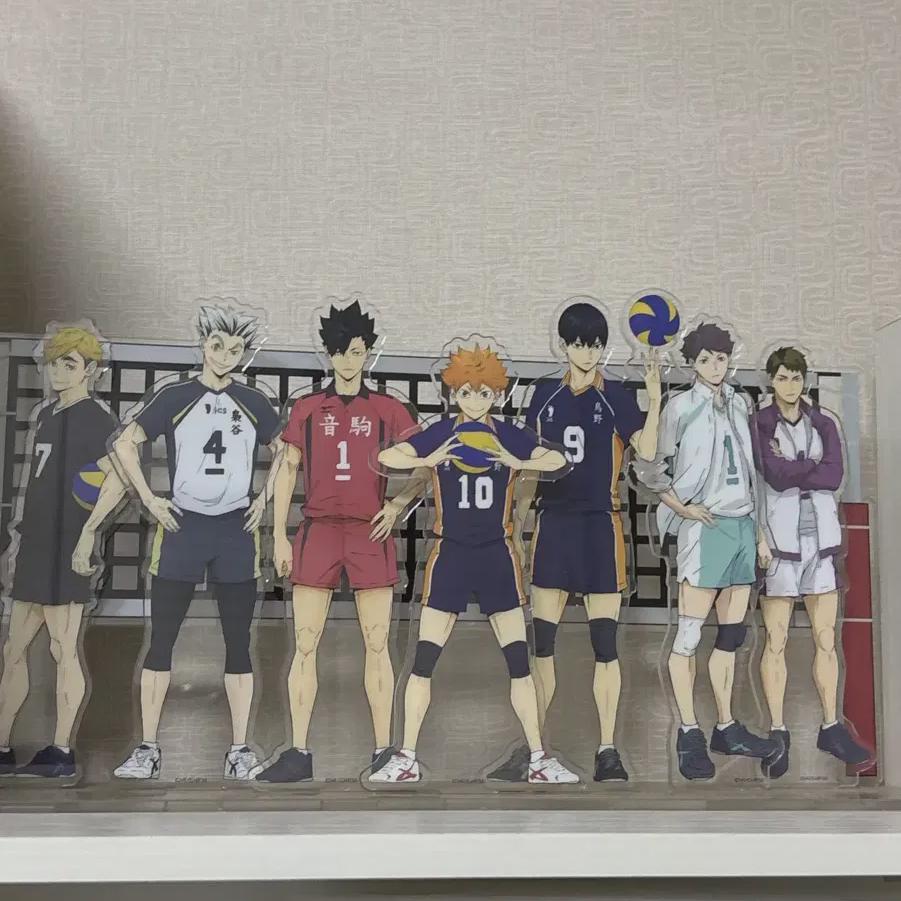 

Haikyu Group Acrylic