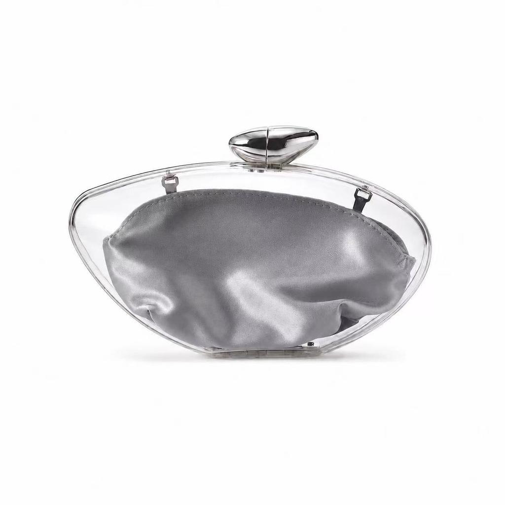 Women's Fashion Acrylic Clear Handbag: Trendy Evening Clutch