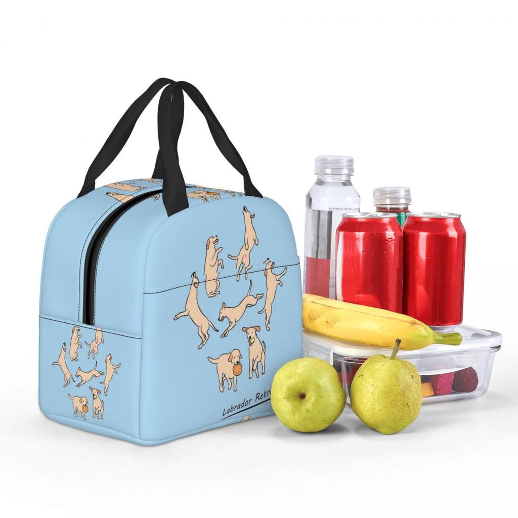 Playing Light Yellow Lab Labrador Retriever Insulated Lunch Bag for Women Kids Leakproof Food Boxes Thermal Lunch Box Tote