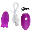 Vibrating Egg Sex Toys for Women G Spot Nipple Clitoris Stimulator Massager Vibrator Tongue Licking Jump Egg with Mouse Charging
