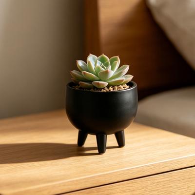 Flowerpot Ornaments 3D Printed Wide Mouth Large Capacity Planter Matte Three-Legged Elevated Base Flower Pot for Indoor Outdoor