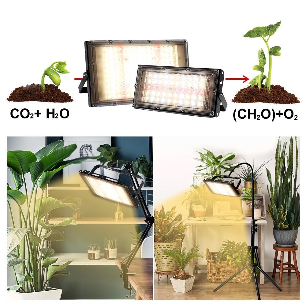 Indoor Full Spectrum LED Grow Light 220V Household Plant Growing Lamp Greenhouse Plant Flower Sunlight Lamp