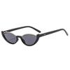 Korean Style Sunglasses Eyewear Y2K Shades Blocking Sunglasses Women Eyeglass Cat Eye Sunglasses