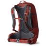 Backpack Gregory Citro 30 Ozone Black (126886-7416)