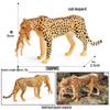 Wild Safari Animal Figurines: Giraffe, Elephant, Rhinoceros, Brown Bear, Tiger, Lion, Leopard, Hippopotamus - Solid Cognitive Toys